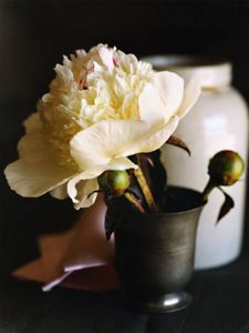 white-flower_pewter-vase