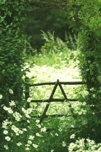 rustic gate and meadow